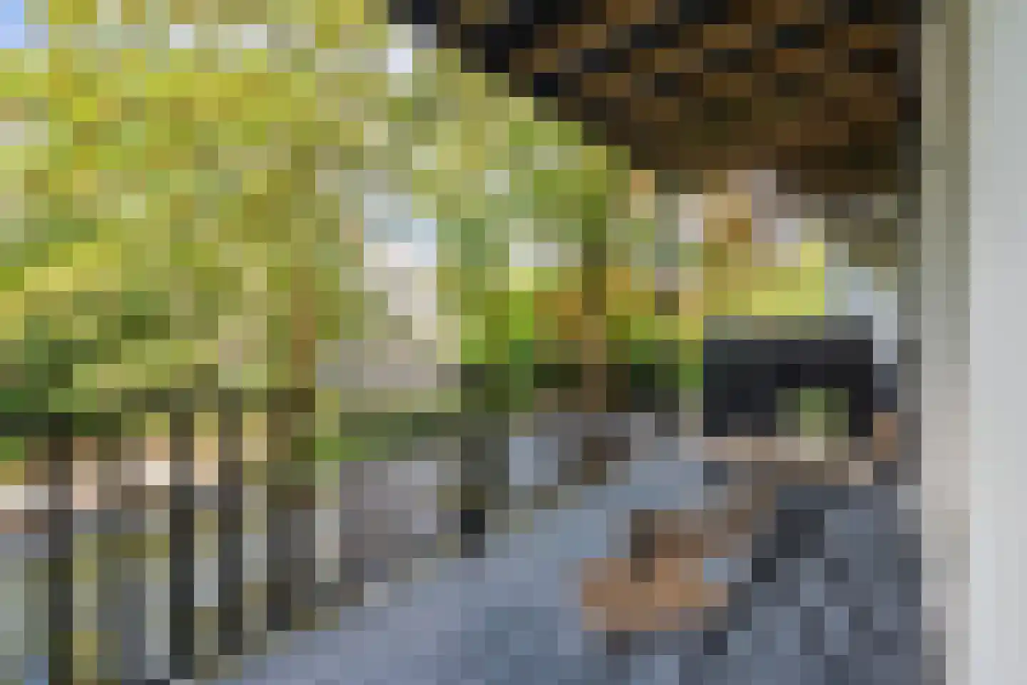 Tweede Jan Steenstraat 49 B Amsterdam thumbnail 4