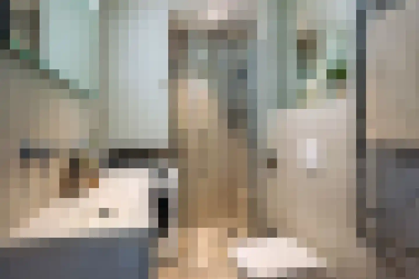 Tweede Jan Steenstraat 49 D Amsterdam thumbnail 19