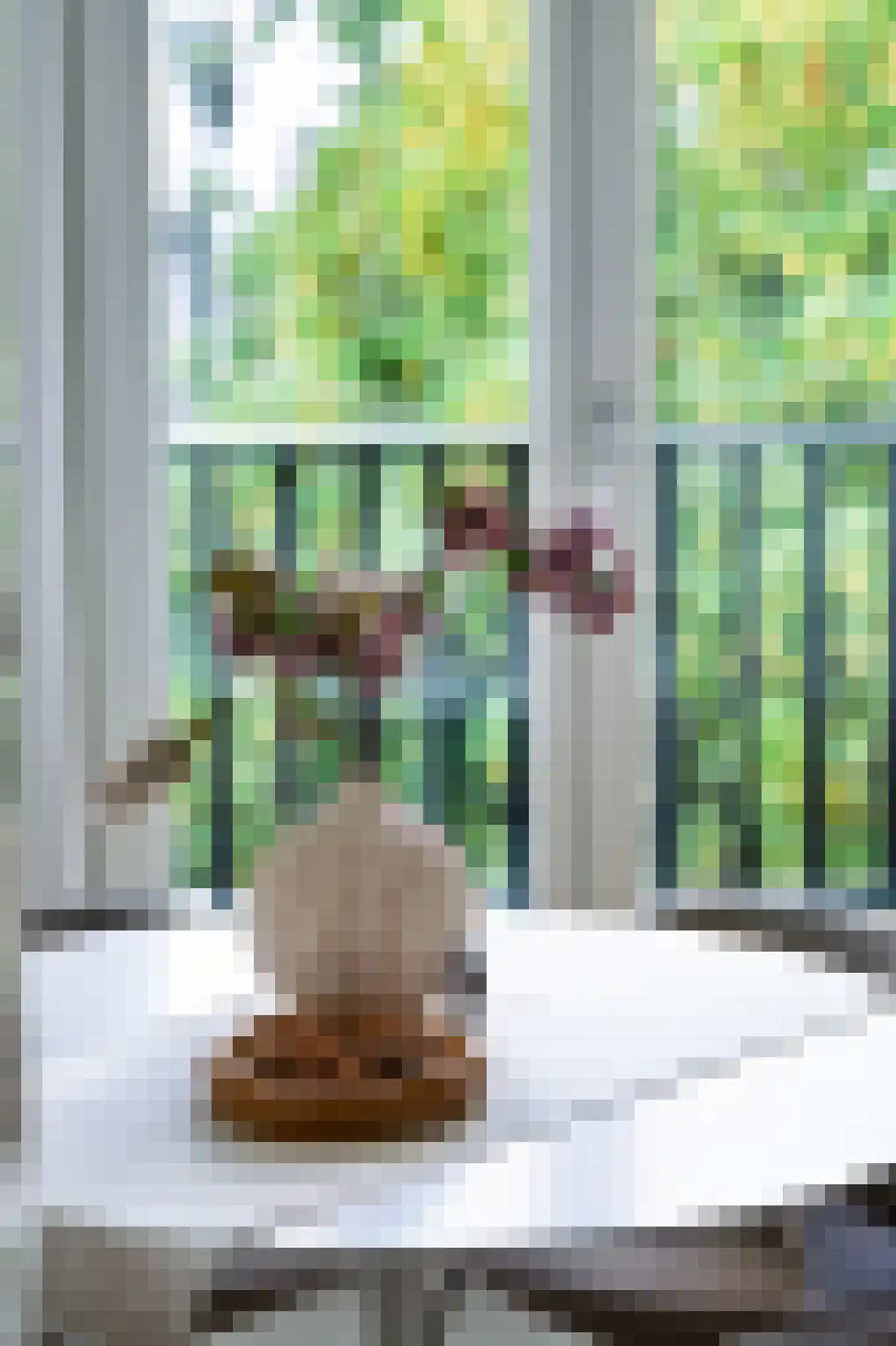 Tweede Jan Steenstraat 49 E Amsterdam thumbnail 12