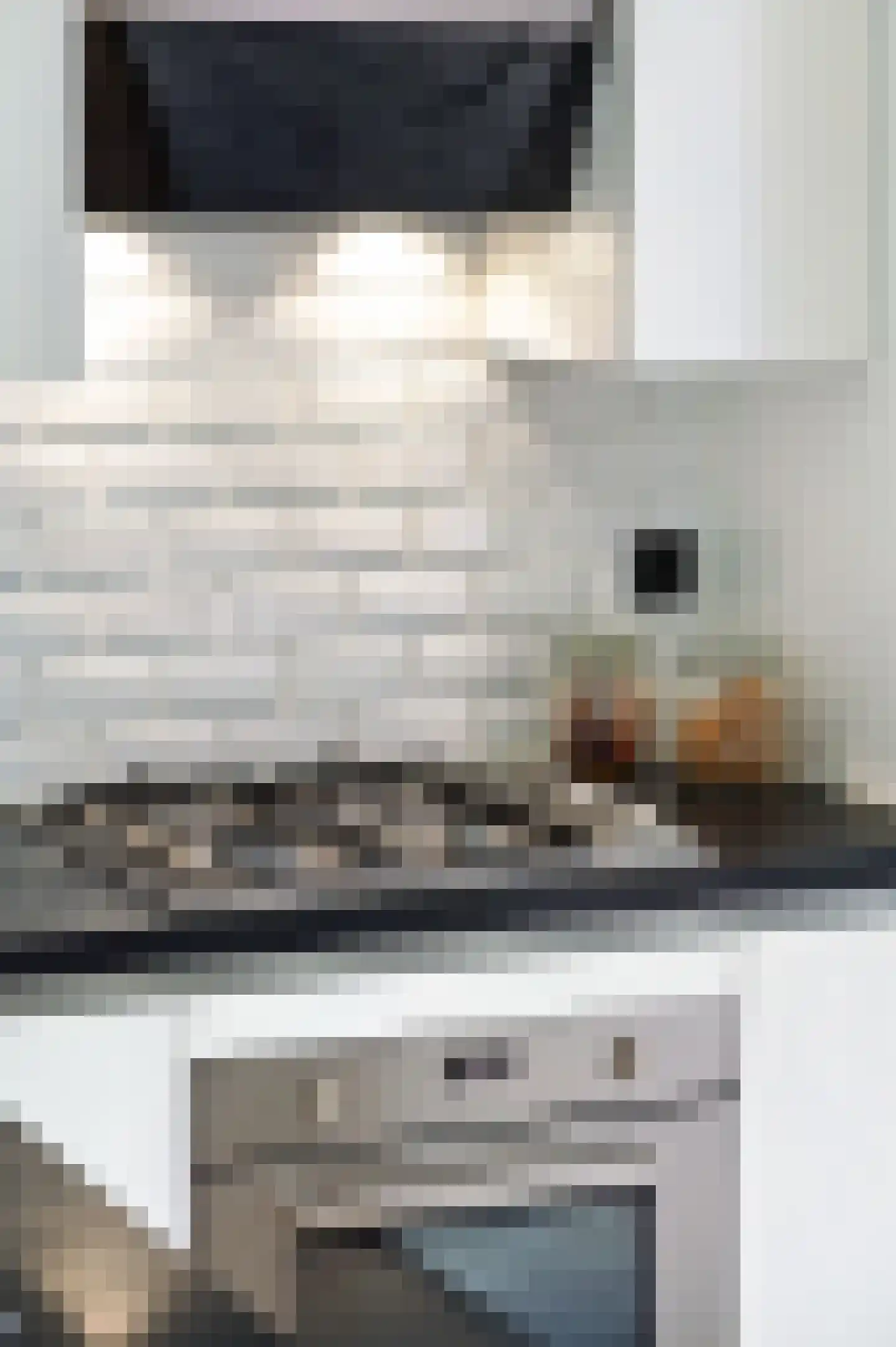 Tweede Jan Steenstraat 49 E Amsterdam thumbnail 14