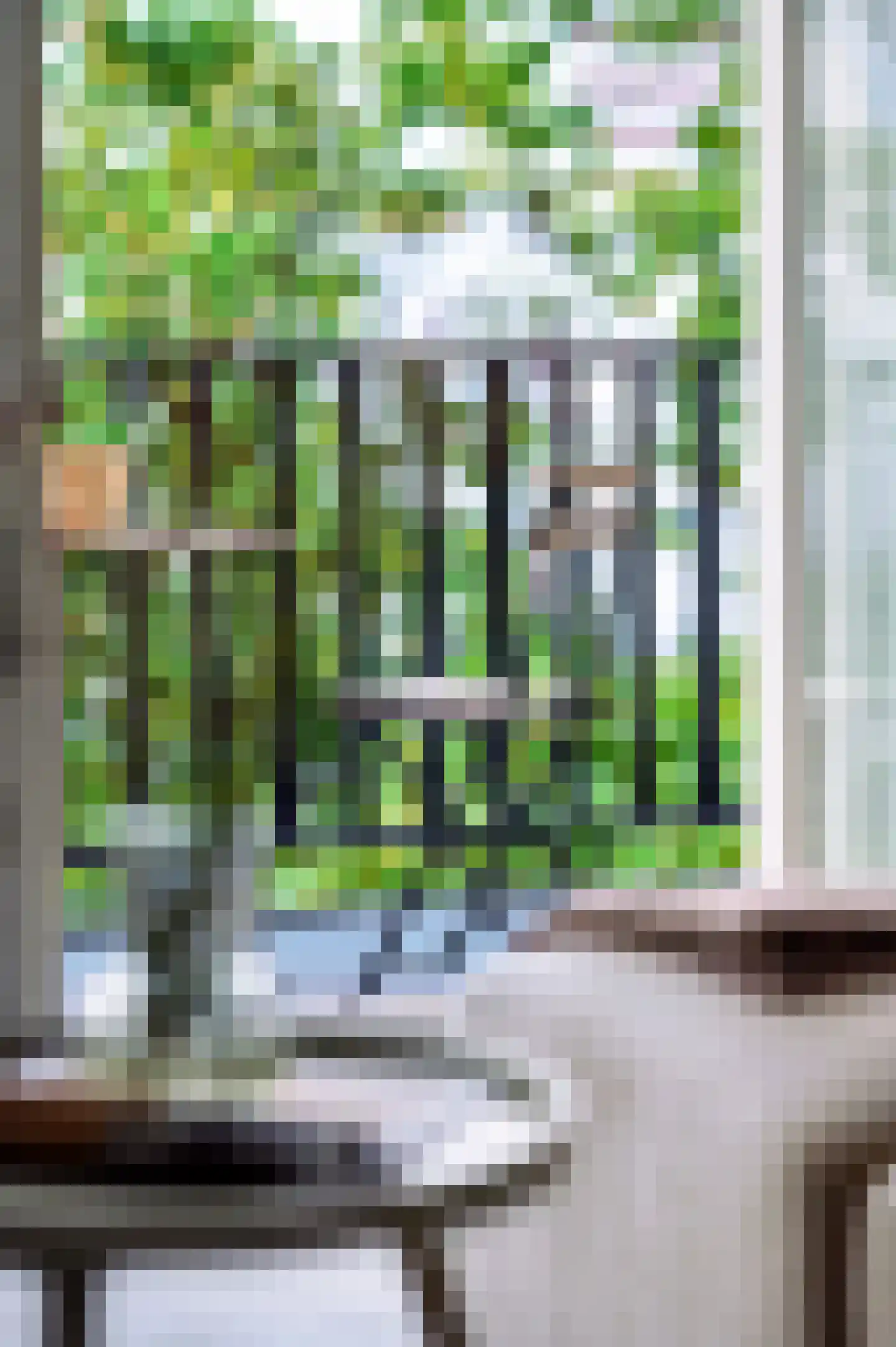 Tweede Jan Steenstraat 49 E Amsterdam thumbnail 5