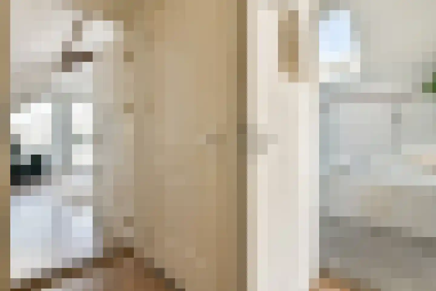 Tweede Jan Steenstraat 51 2 Amsterdam thumbnail 22
