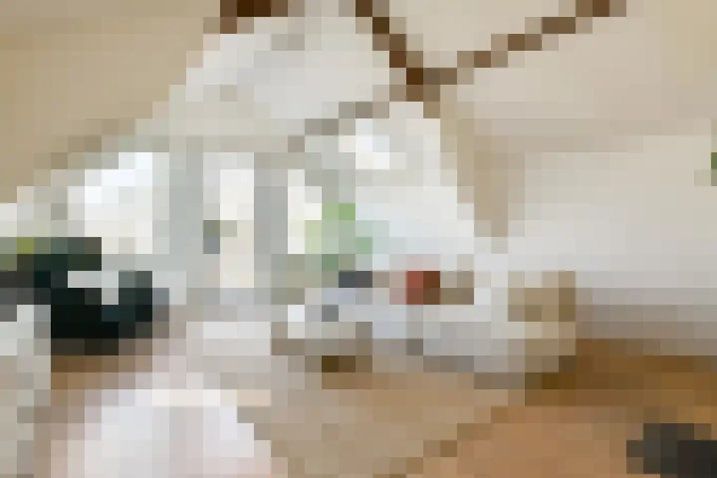 Tweede Jan Steenstraat 51 4 Amsterdam thumbnail 13