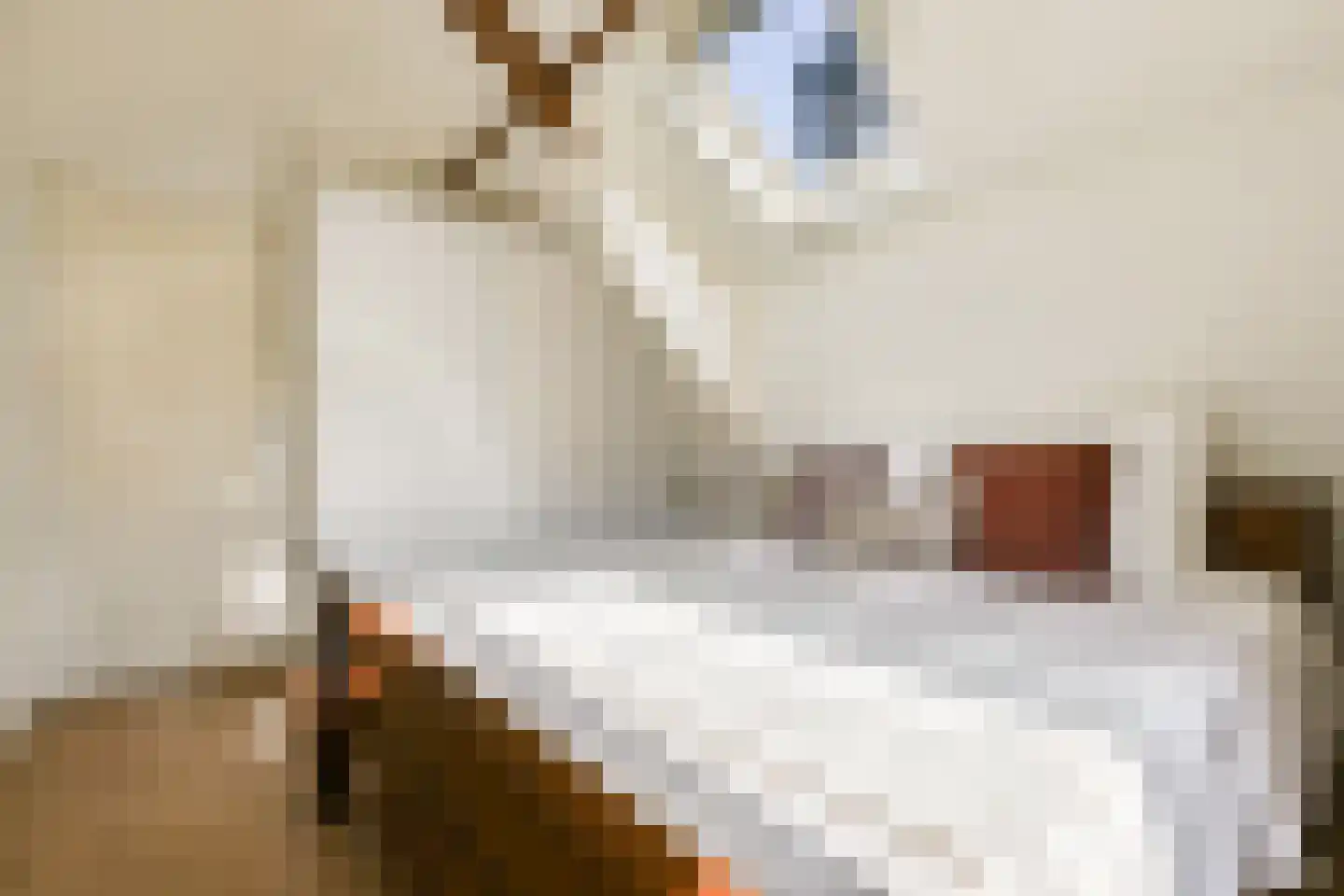 Tweede Jan Steenstraat 51 4 Amsterdam thumbnail 26
