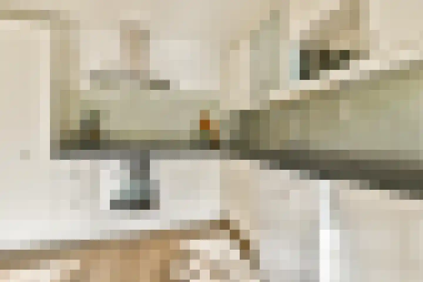 Tweede Jan Steenstraat 51 4 Amsterdam thumbnail 7
