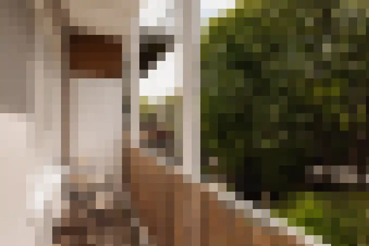 Tweede Jan Steenstraat 54 3 Amsterdam thumbnail 5
