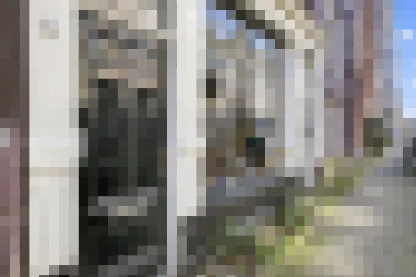 Tweede Jan Steenstraat 56 2 Amsterdam thumbnail 21