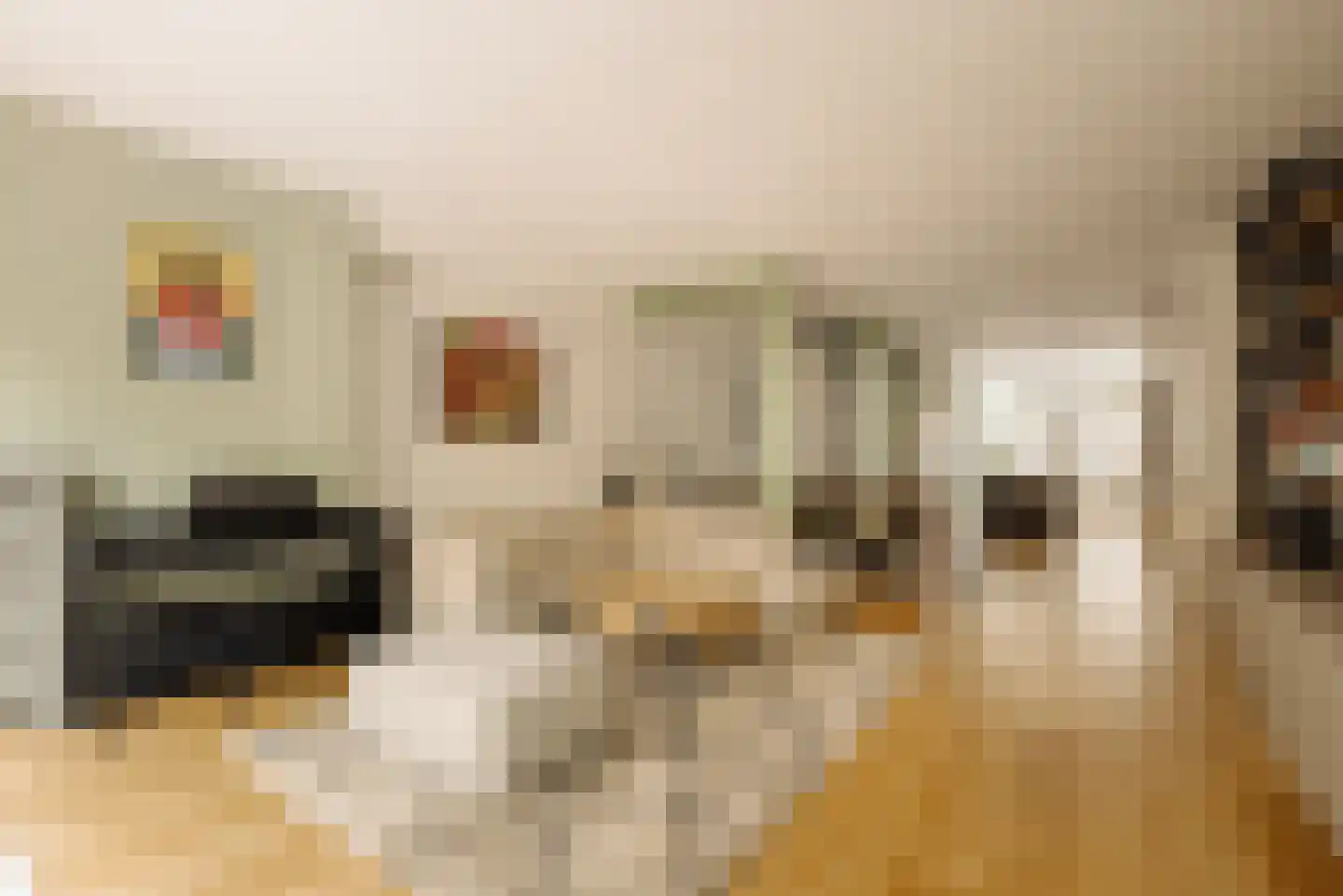 Tweede Jan Steenstraat 58 H Amsterdam thumbnail 5