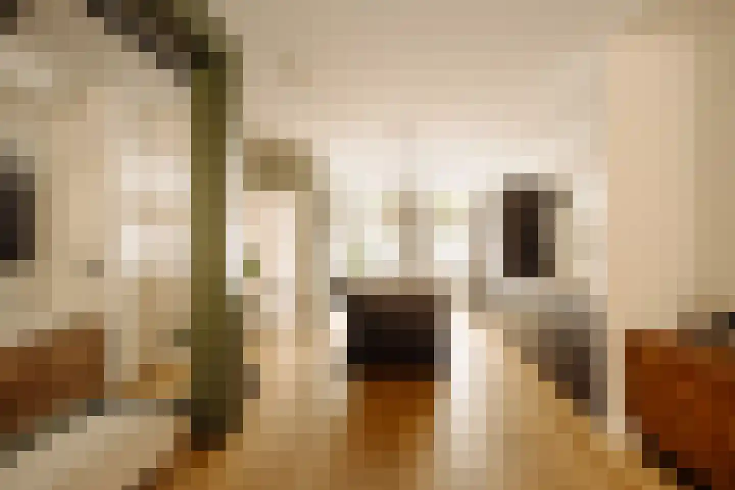 Tweede Jan Steenstraat 58 H Amsterdam thumbnail 6