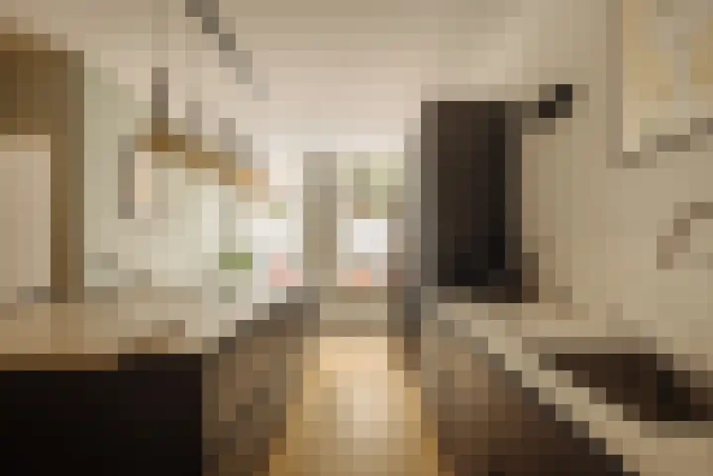 Tweede Jan Steenstraat 58 H Amsterdam thumbnail 7