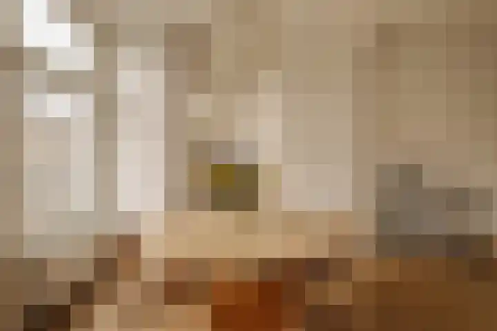 Tweede Jan Steenstraat 60 1 Amsterdam thumbnail 4
