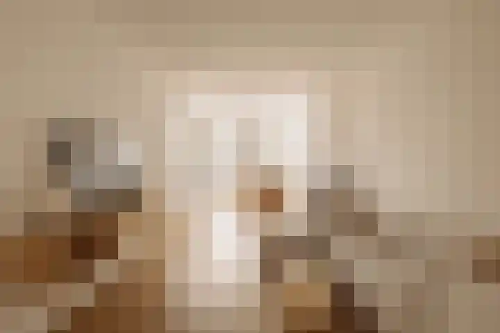 Tweede Jan Steenstraat 60 1 Amsterdam thumbnail 5