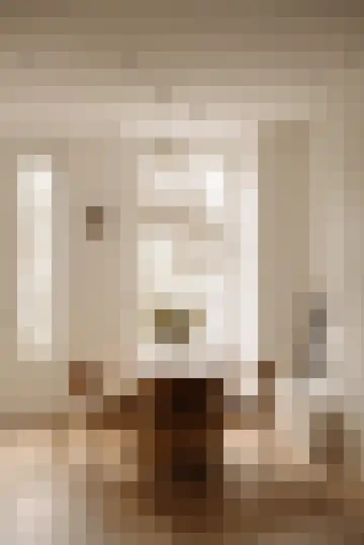Tweede Jan Steenstraat 60 1 Amsterdam thumbnail 9