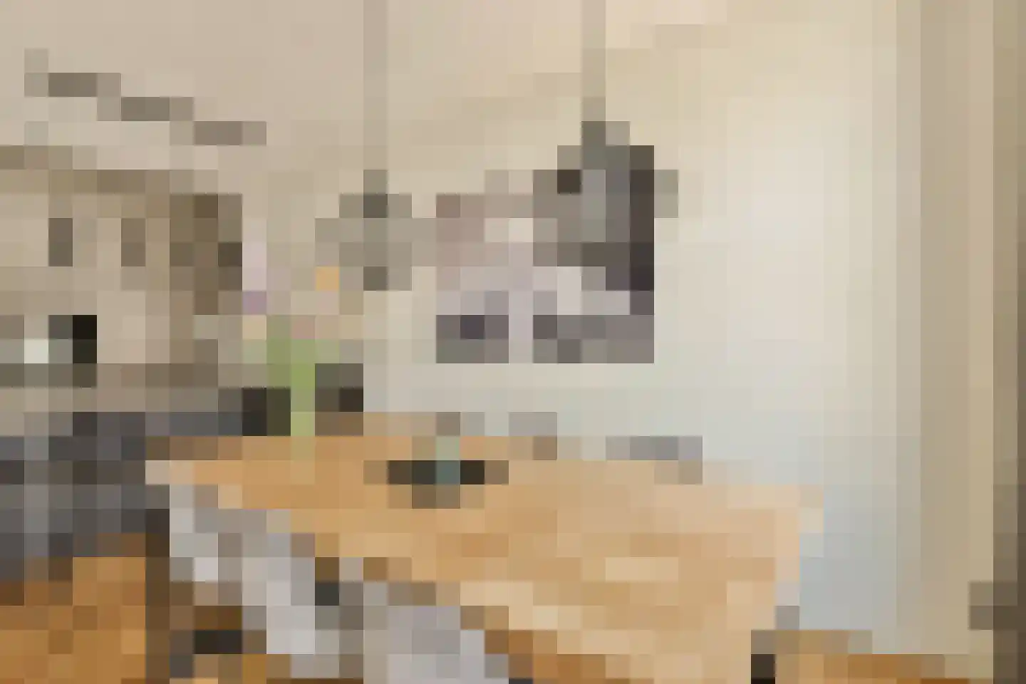 Tweede Jan Steenstraat 64 A Amsterdam thumbnail 13