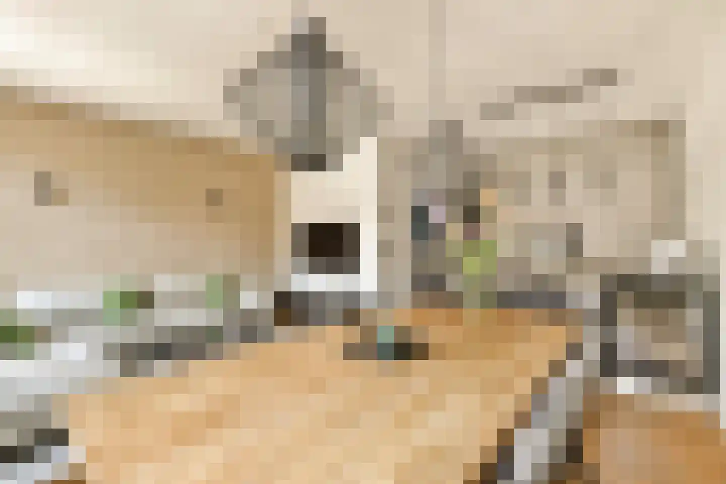 Tweede Jan Steenstraat 64 C Amsterdam thumbnail 12