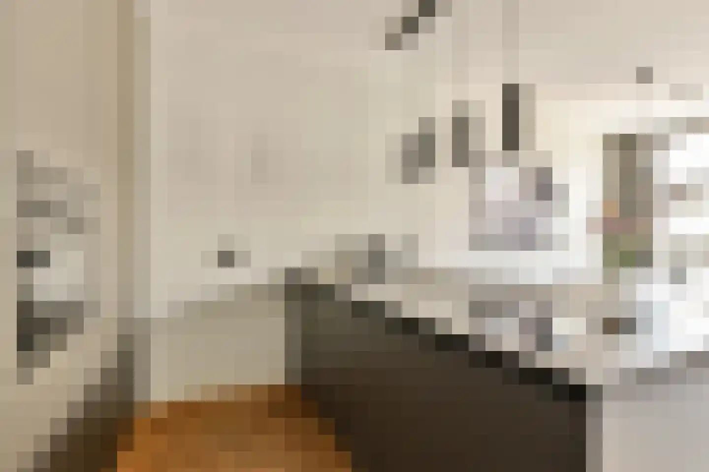 Tweede Jan Steenstraat 64 C Amsterdam thumbnail 14