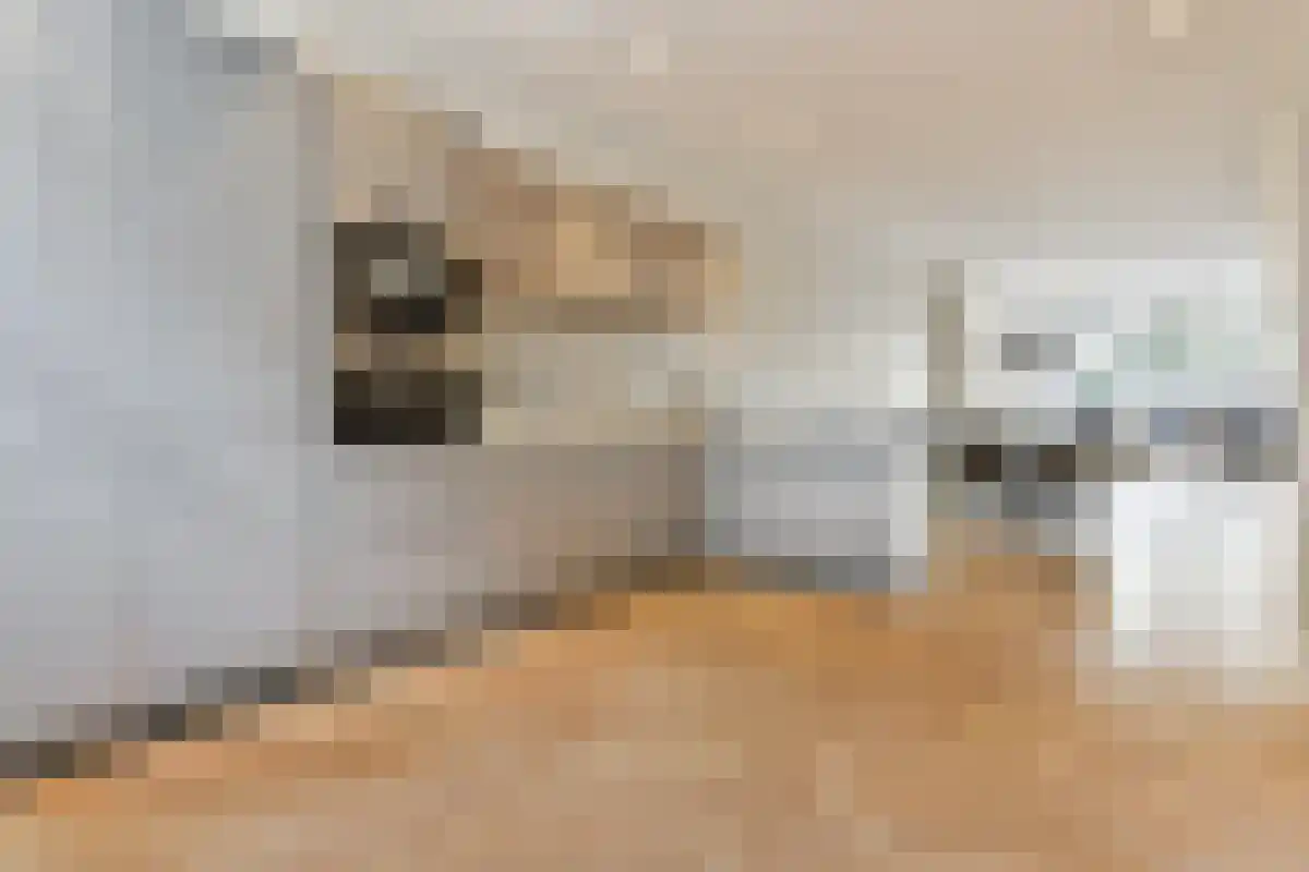 Tweede Jan Steenstraat Amsterdam thumbnail 4