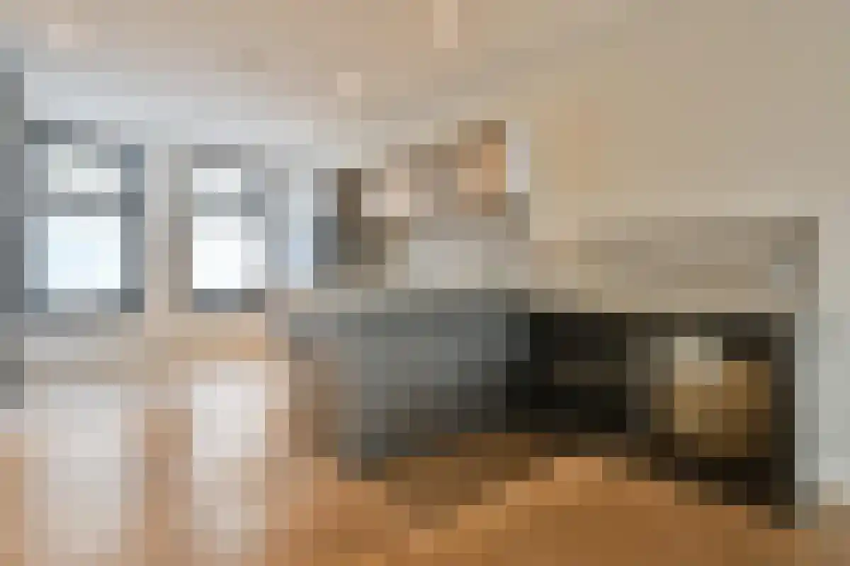 Tweede Jan Steenstraat Amsterdam thumbnail 6