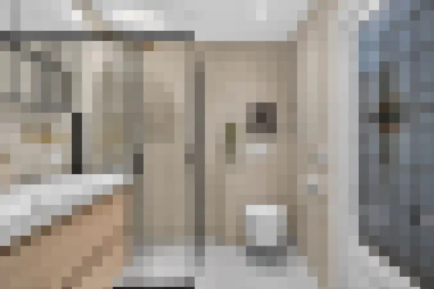 Tweede Jan van der Heijdenstraat 103 A Amsterdam thumbnail 26