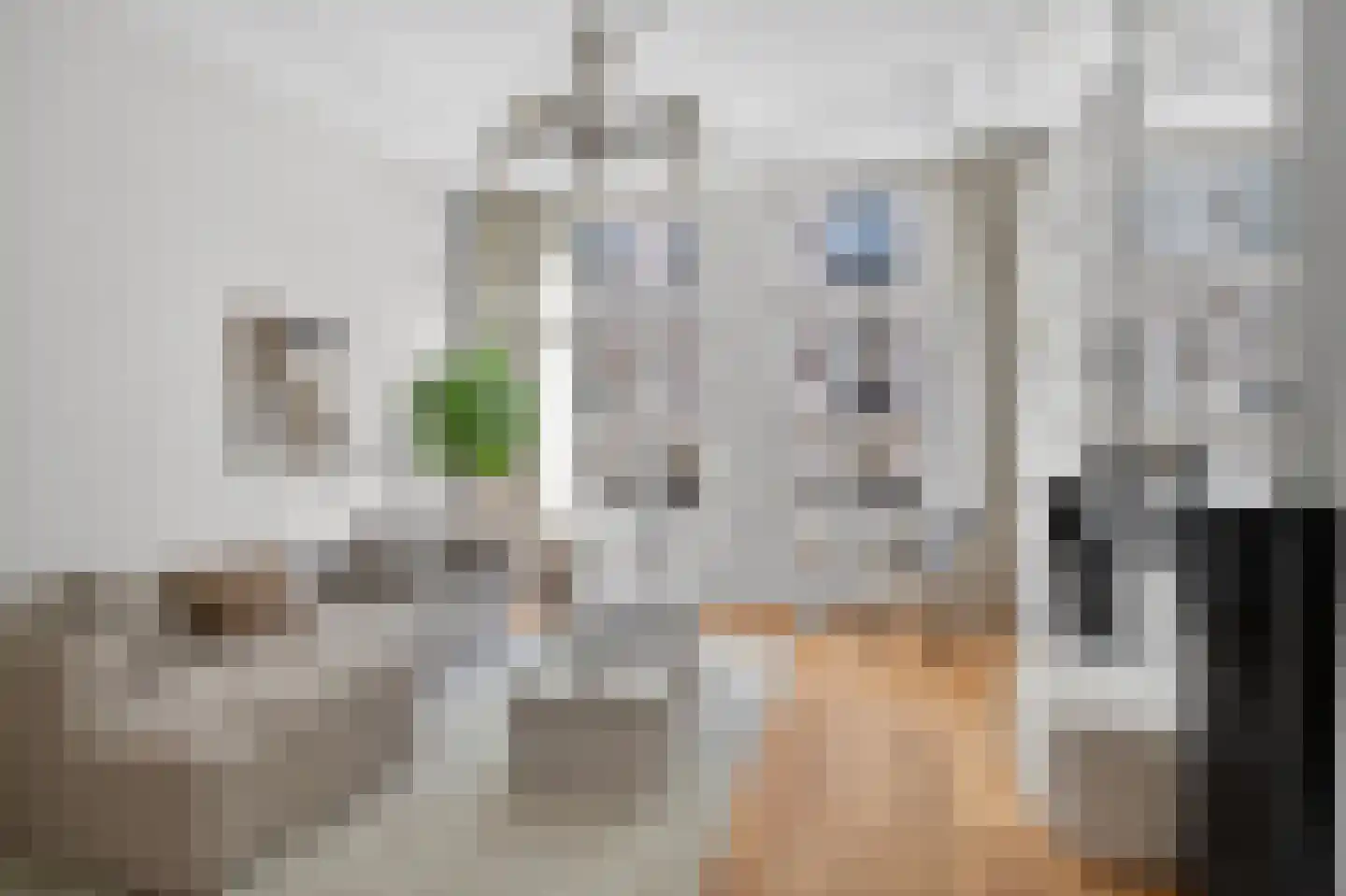 Tweede Jan van der Heijdenstraat 103 A Amsterdam thumbnail 7