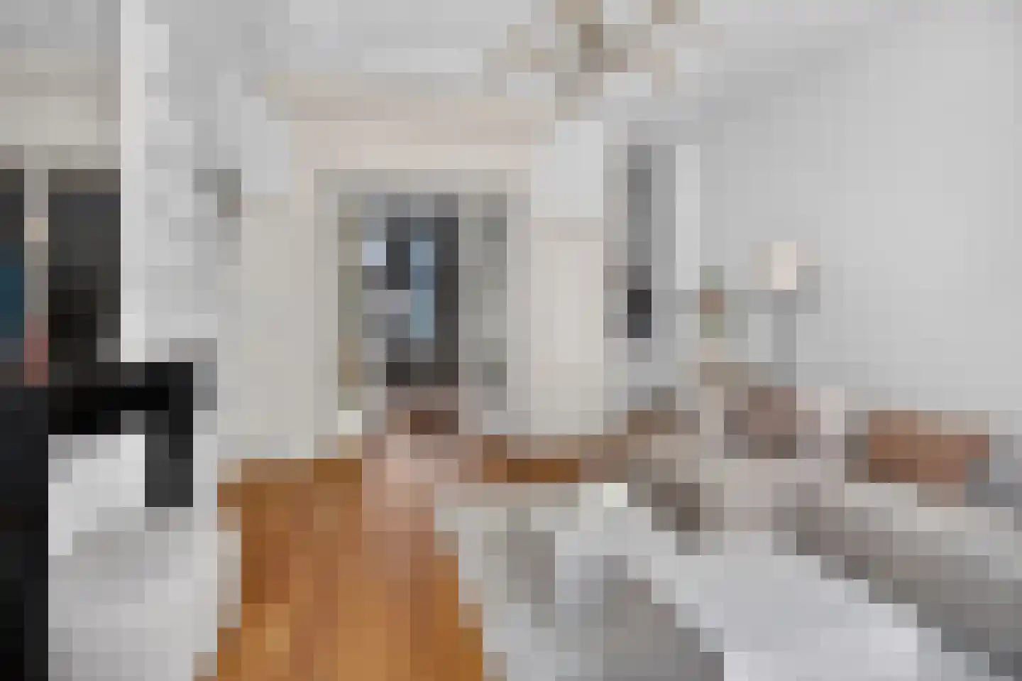 Tweede Jan van der Heijdenstraat 103 A Amsterdam thumbnail 9