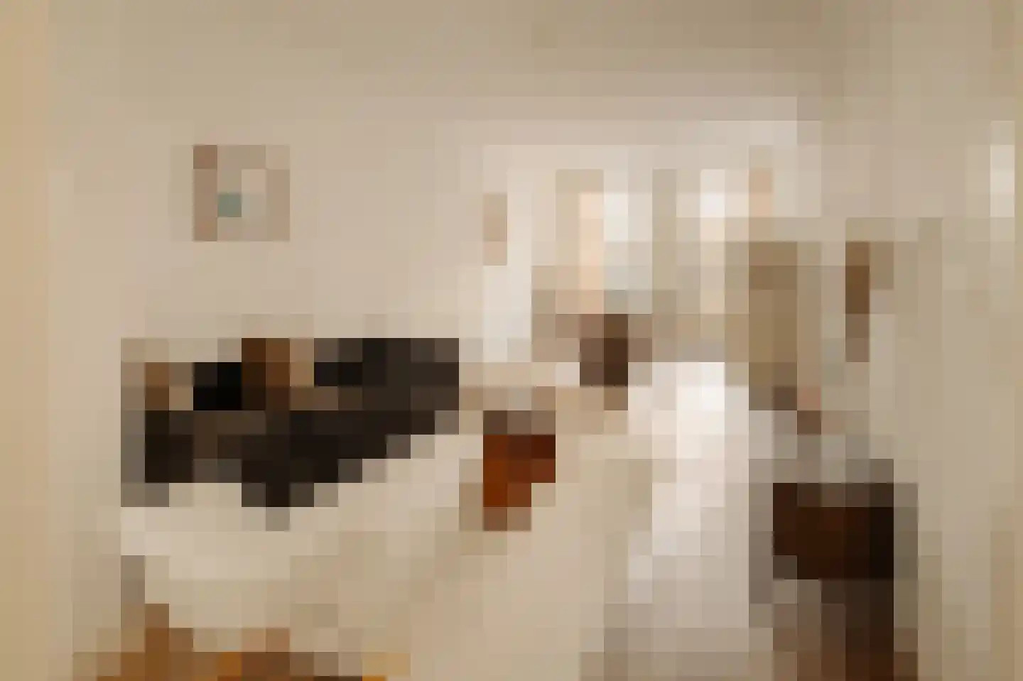 Tweede Jan van der Heijdenstraat 18 1 Amsterdam thumbnail 11