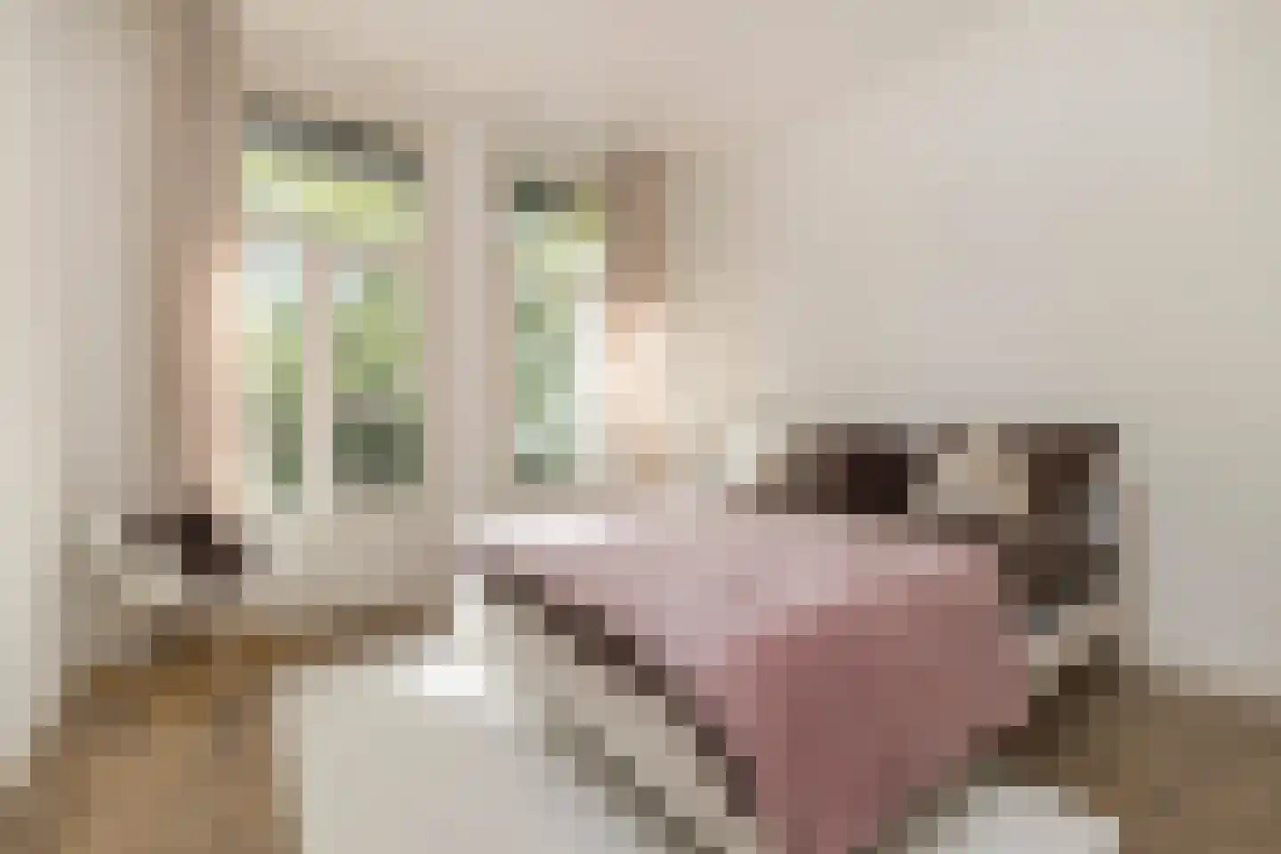 Tweede Jan van der Heijdenstraat 18 1 Amsterdam thumbnail 17