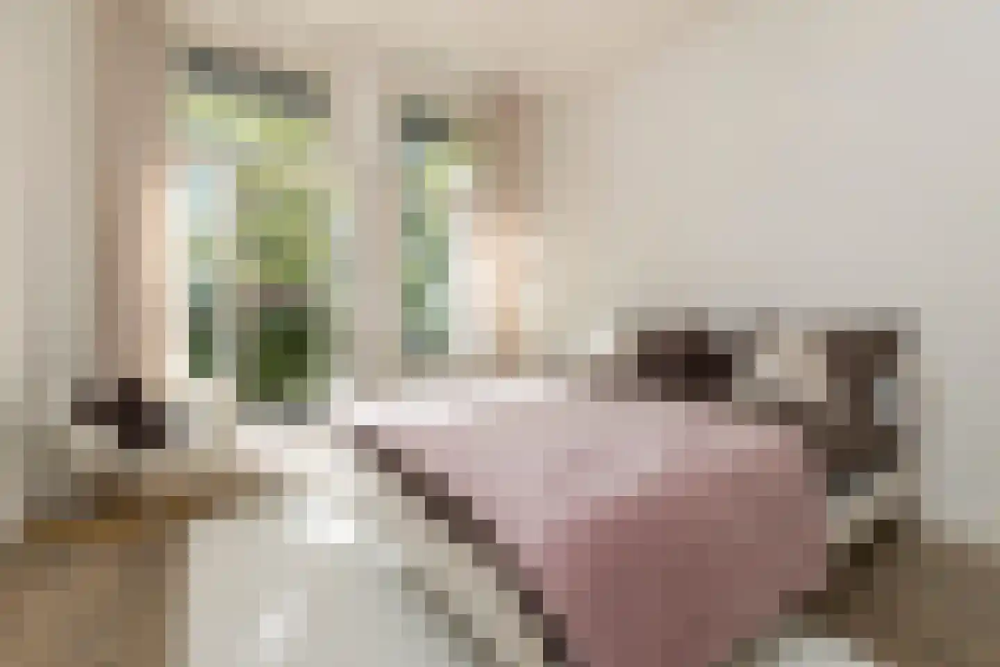 Tweede Jan van der Heijdenstraat 18 1 Amsterdam thumbnail 20