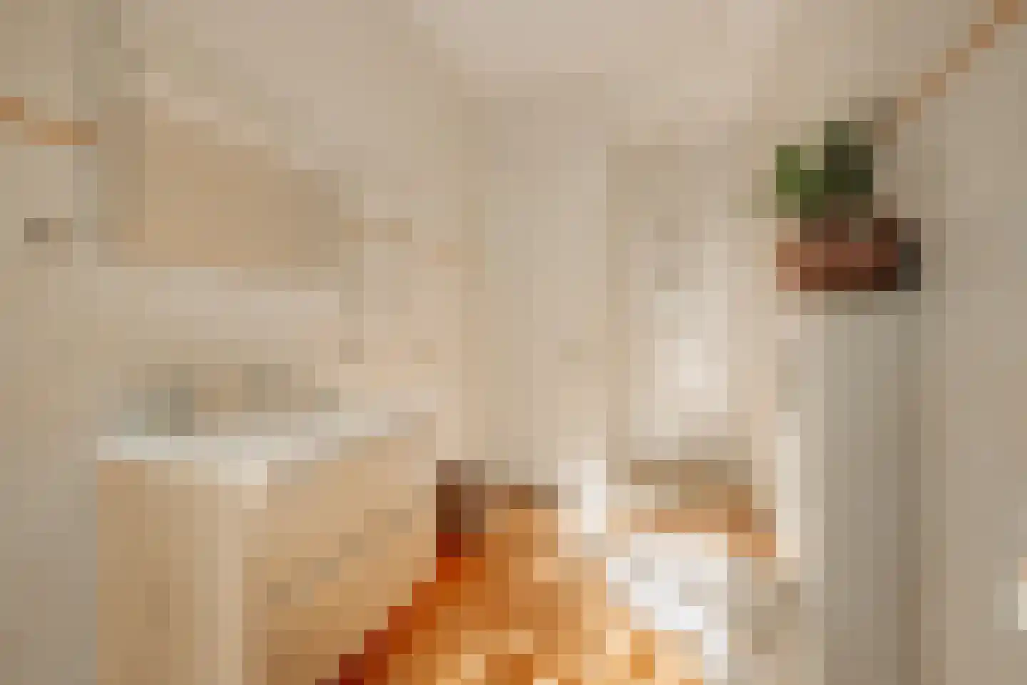 Tweede Jan van der Heijdenstraat 18 1 Amsterdam thumbnail 21