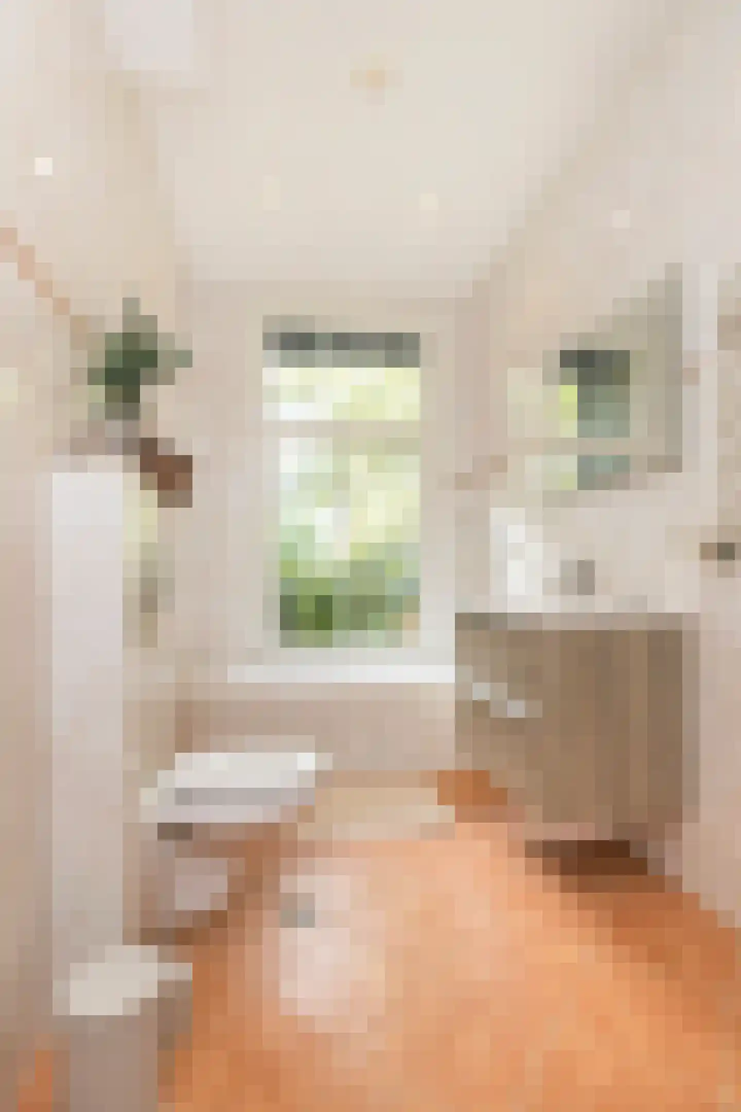 Tweede Jan van der Heijdenstraat 18 1 Amsterdam thumbnail 28