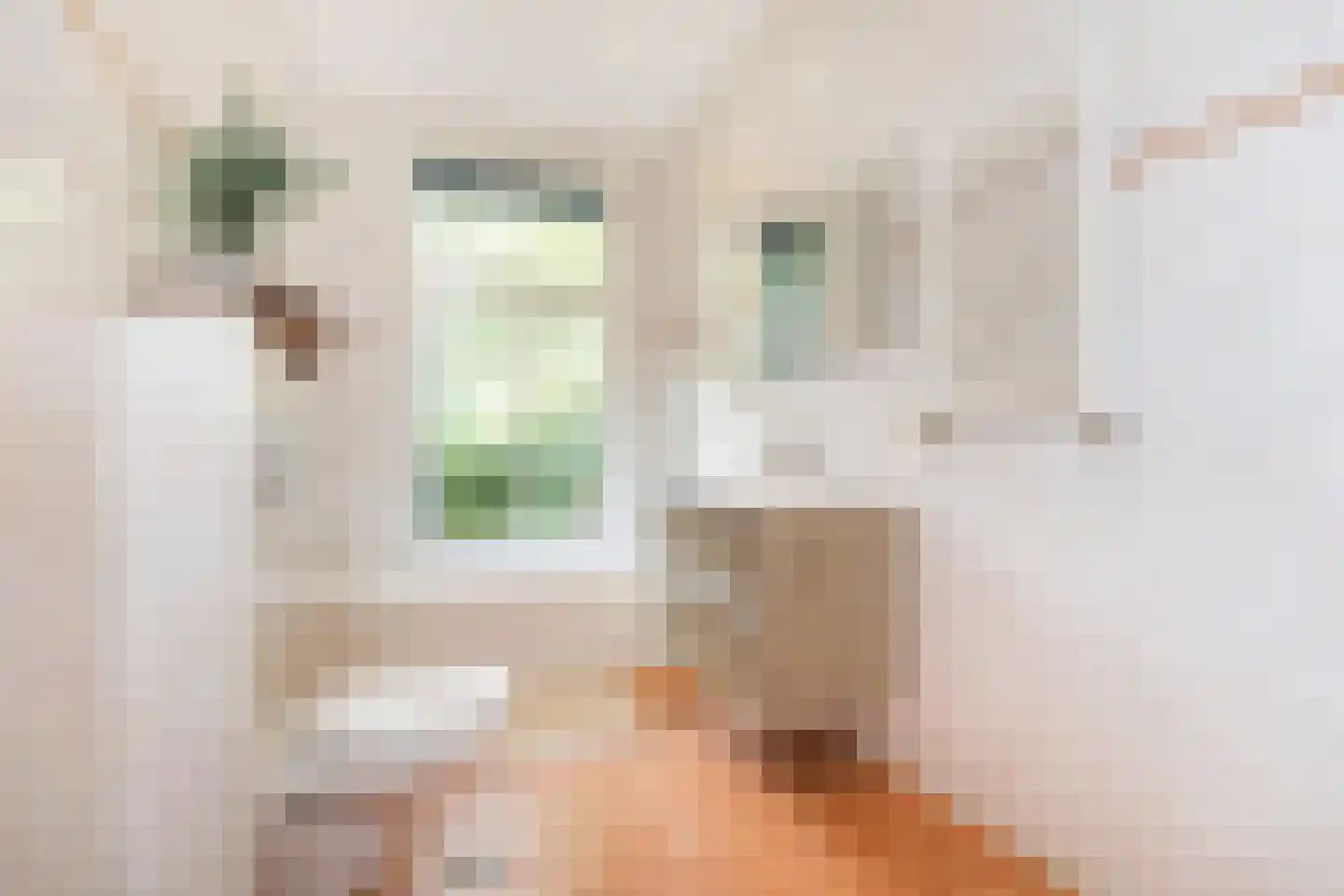 Tweede Jan van der Heijdenstraat 18 1 Amsterdam thumbnail 29