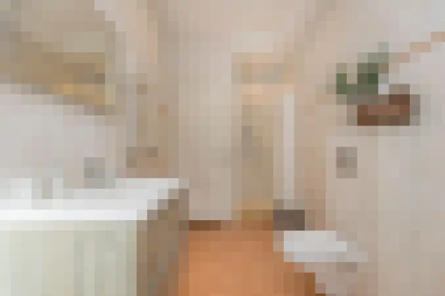 Tweede Jan van der Heijdenstraat 18 1 Amsterdam thumbnail 33