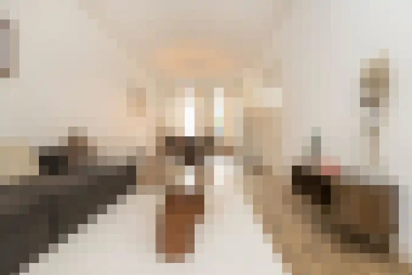 Tweede Jan van der Heijdenstraat 18 1 Amsterdam thumbnail 4