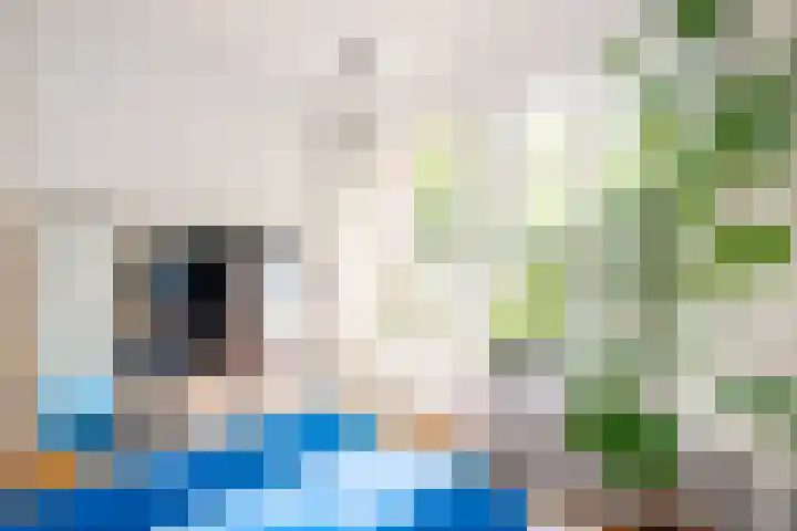 Tweede Jan van der Heijdenstraat 2 H Amsterdam thumbnail 17
