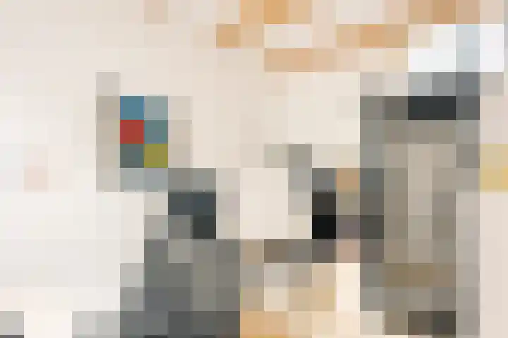 Tweede Jan van der Heijdenstraat 2 H Amsterdam thumbnail 21