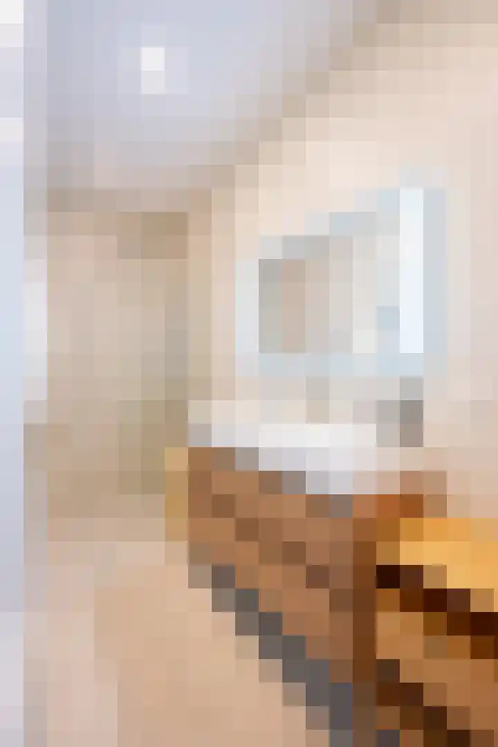 Tweede Jan van der Heijdenstraat 2 H Amsterdam thumbnail 24