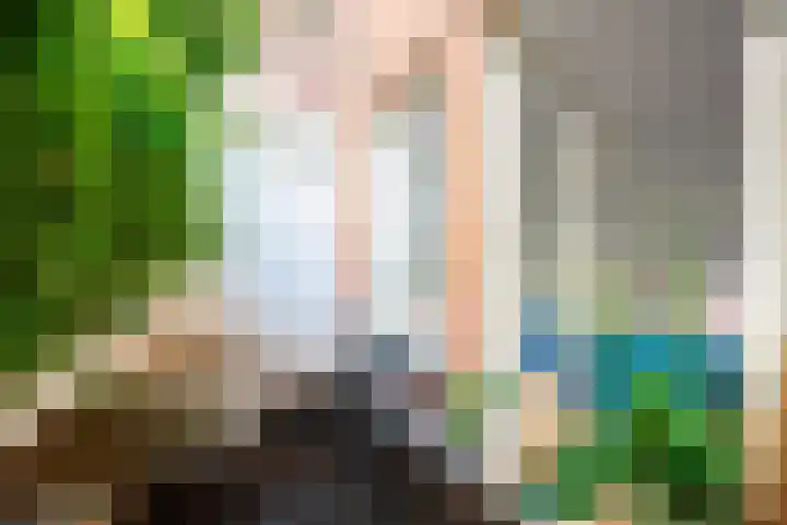Tweede Jan van der Heijdenstraat 2 H Amsterdam thumbnail 5