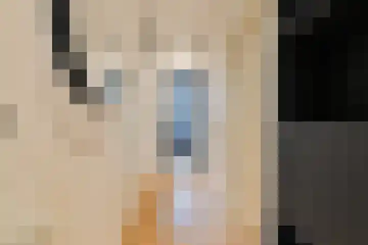 Tweede Jan van der Heijdenstraat 2 H Amsterdam thumbnail 6