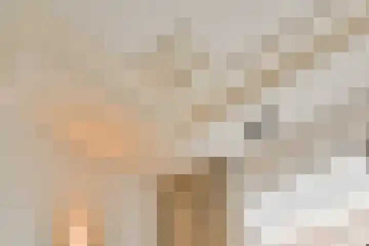 Tweede Jan van der Heijdenstraat 2 H Amsterdam thumbnail 9