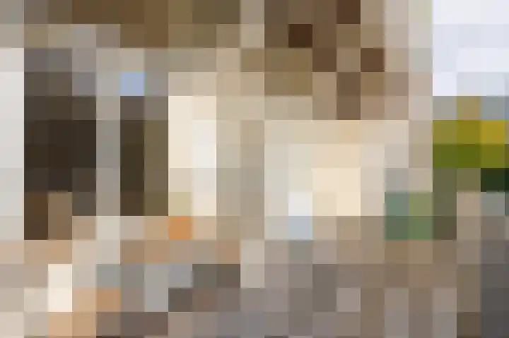 Tweede Jan van der Heijdenstraat 24 H Amsterdam thumbnail 14