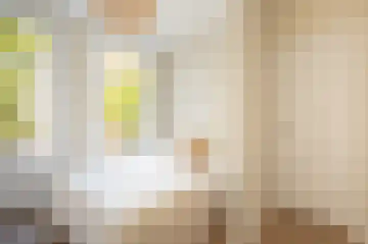 Tweede Jan van der Heijdenstraat 24 H Amsterdam thumbnail 17