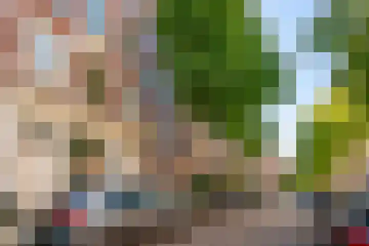 Tweede Jan van der Heijdenstraat 24 H Amsterdam thumbnail 24