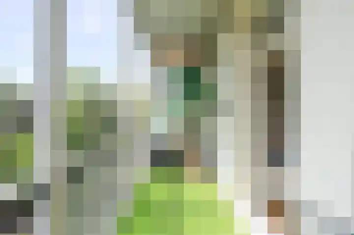 Tweede Jan van der Heijdenstraat 28 2 Amsterdam thumbnail 17