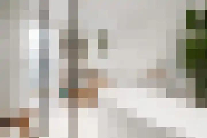 Tweede Jan van der Heijdenstraat 28 2 Amsterdam thumbnail 20