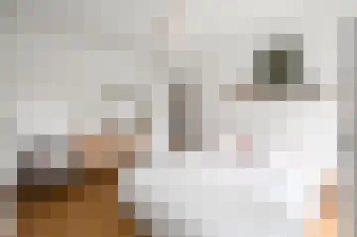 Tweede Jan van der Heijdenstraat 28 2 Amsterdam thumbnail 21