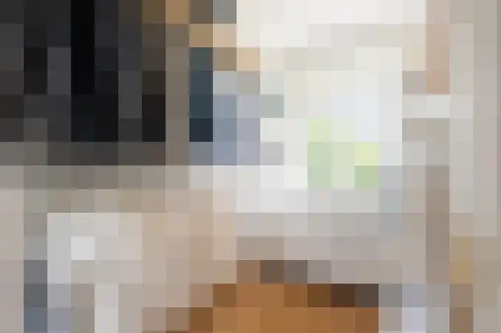 Tweede Jan van der Heijdenstraat 28 2 Amsterdam thumbnail 22