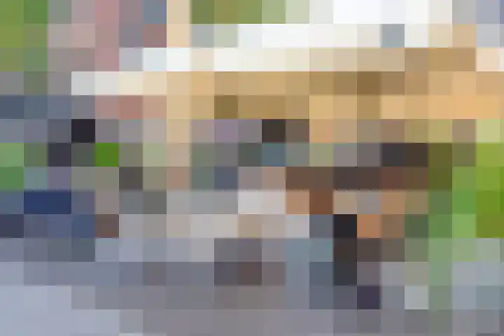 Tweede Jan van der Heijdenstraat 28 2 Amsterdam thumbnail 29