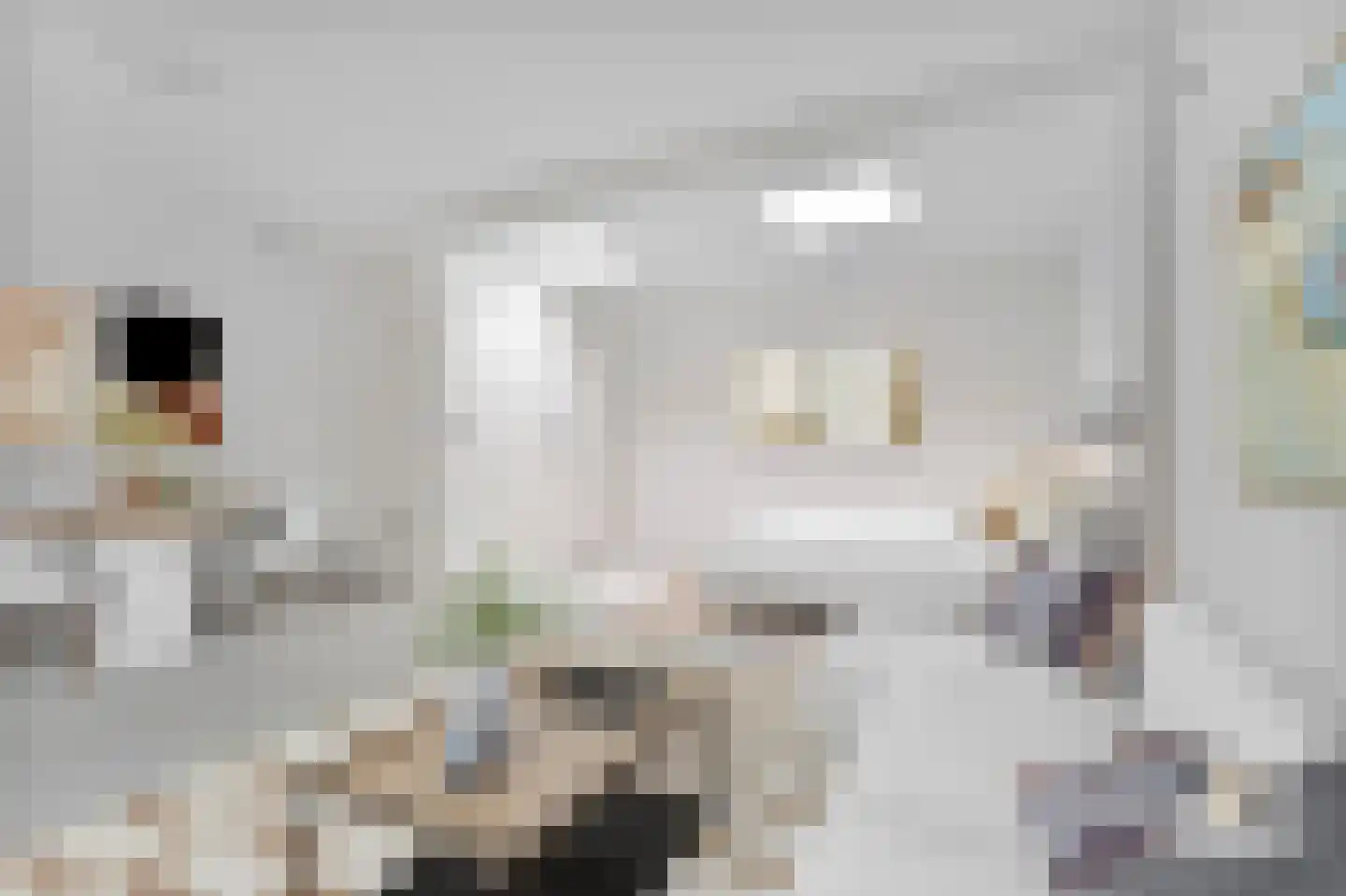 Tweede Jan van der Heijdenstraat 30 H Amsterdam thumbnail 23