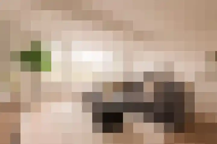 Tweede Jan van der Heijdenstraat 33 H Amsterdam thumbnail 13