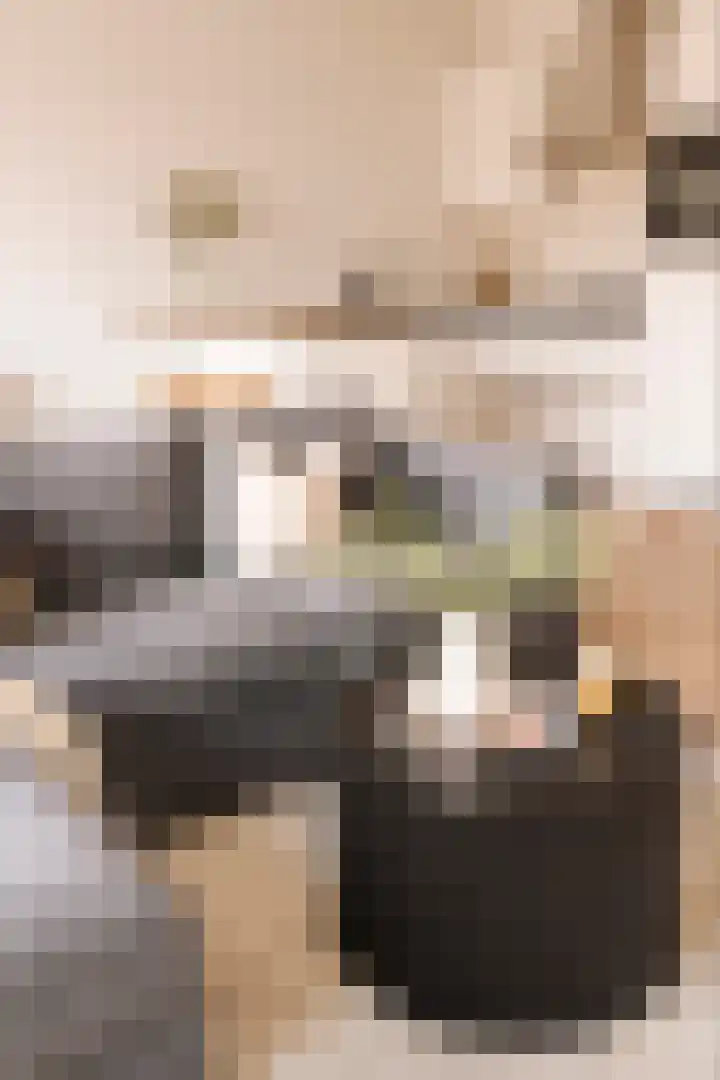 Tweede Jan van der Heijdenstraat 33 H Amsterdam thumbnail 15